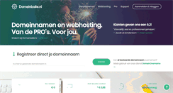 Desktop Screenshot of domeinbalie.nl